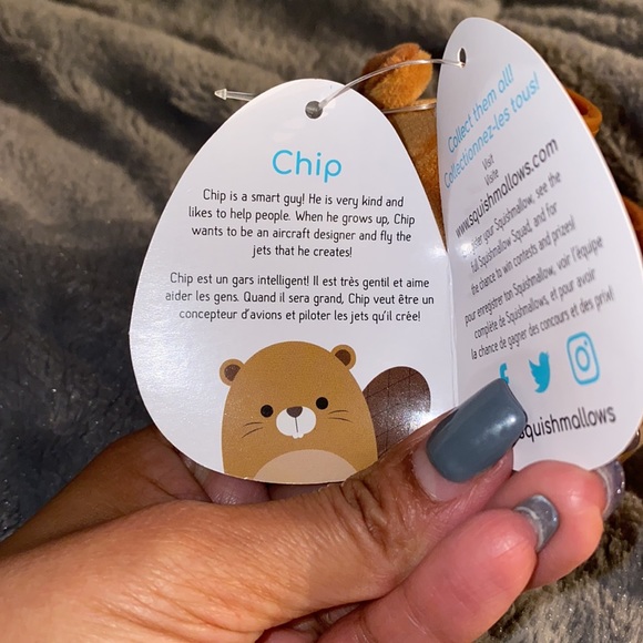 Squishmallow “Chip” Beaver
3.5” clip
BNWT - Picture 2 of 3